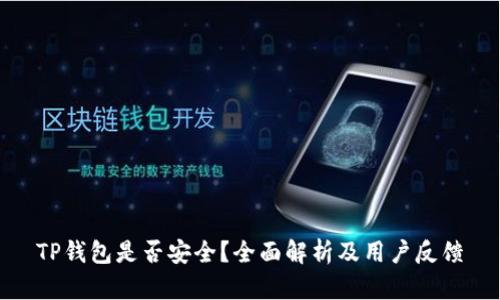 TP钱包是否安全？全面解析及用户反馈