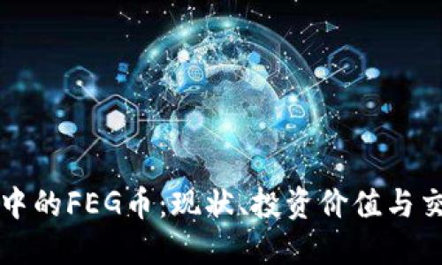 TP钱包中的FEG币：现状、投资价值与交易指导