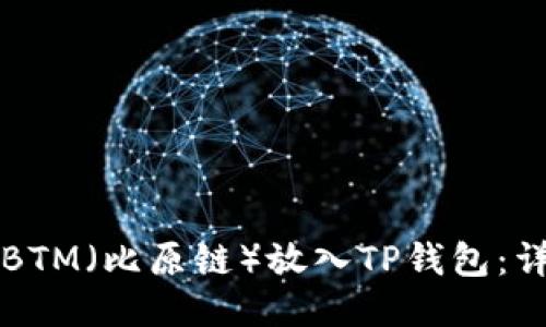 如何将BTM（比原链）放入TP钱包：详尽指南