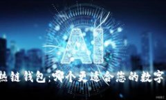 冷钱包与热链钱包：哪个