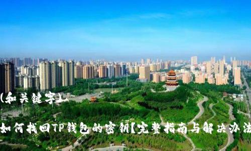 (和关键字)

如何找回TP钱包的密钥？完整指南与解决办法