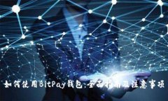 如何使用BitPay钱包：全面