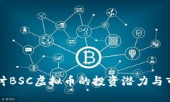 深入探讨BSC虚拟币的投资
