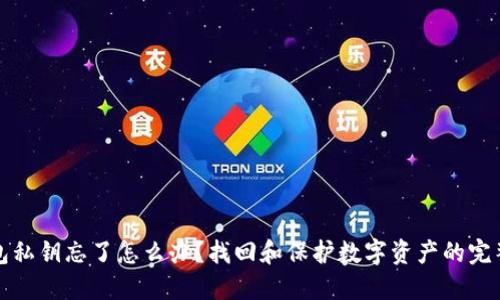 TP钱包私钥忘了怎么办？找回和保护数字资产的完整指南