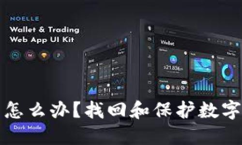 TP钱包私钥忘了怎么办？找回和保护数字资产的完整指南