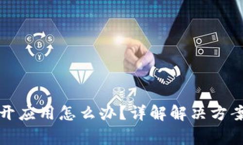 TP钱包打不开应用怎么办？详解解决方案与常见问题