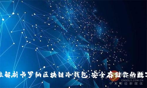 全方位解析卡罗纳区块链冷钱包：安全存储你的数字资产