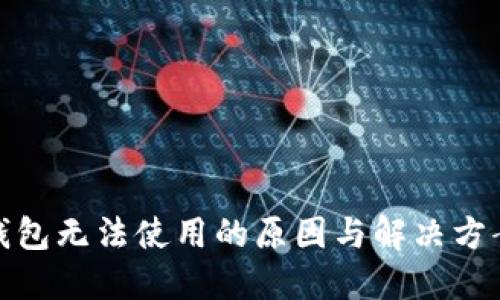 数字钱包无法使用的原因与解决方案详解