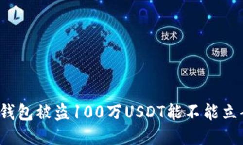 TP钱包被盗100万USDT能不能立案？